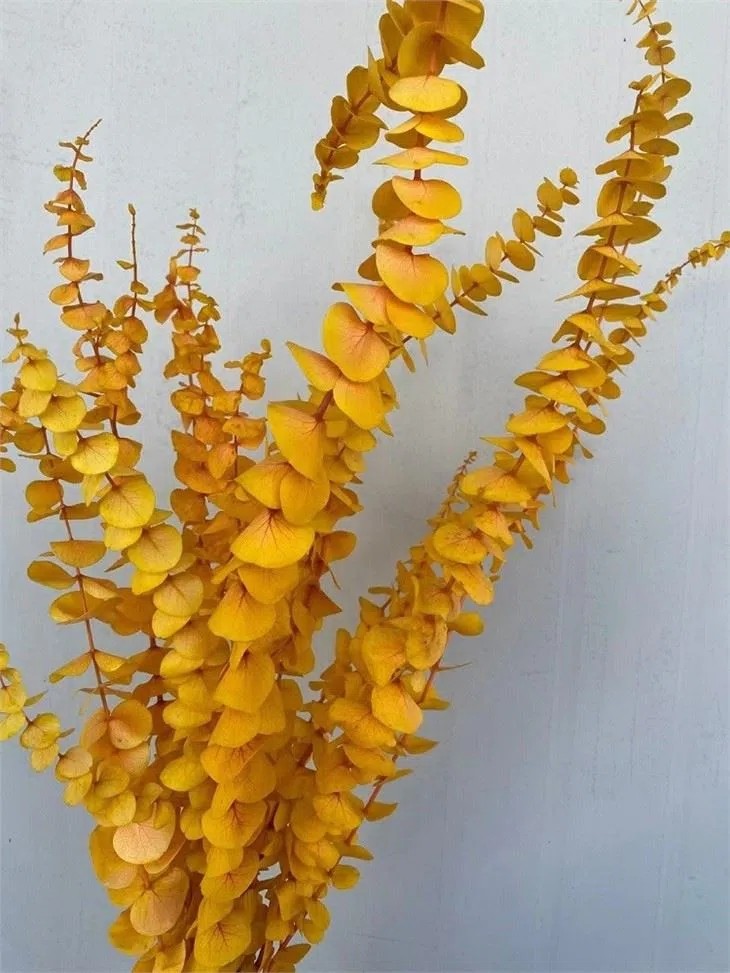 Bleached Eucalyptus Bouquet