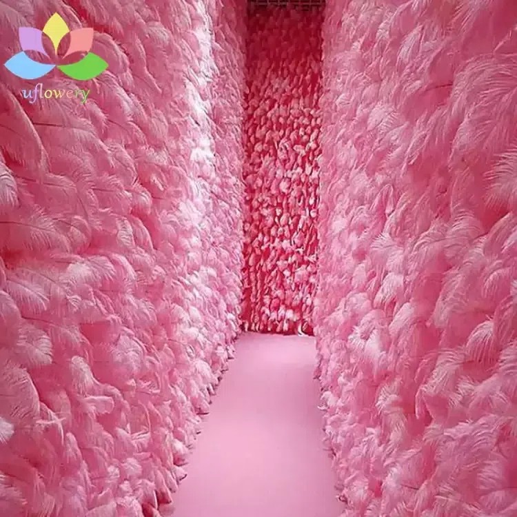 Pink Feather Wall
