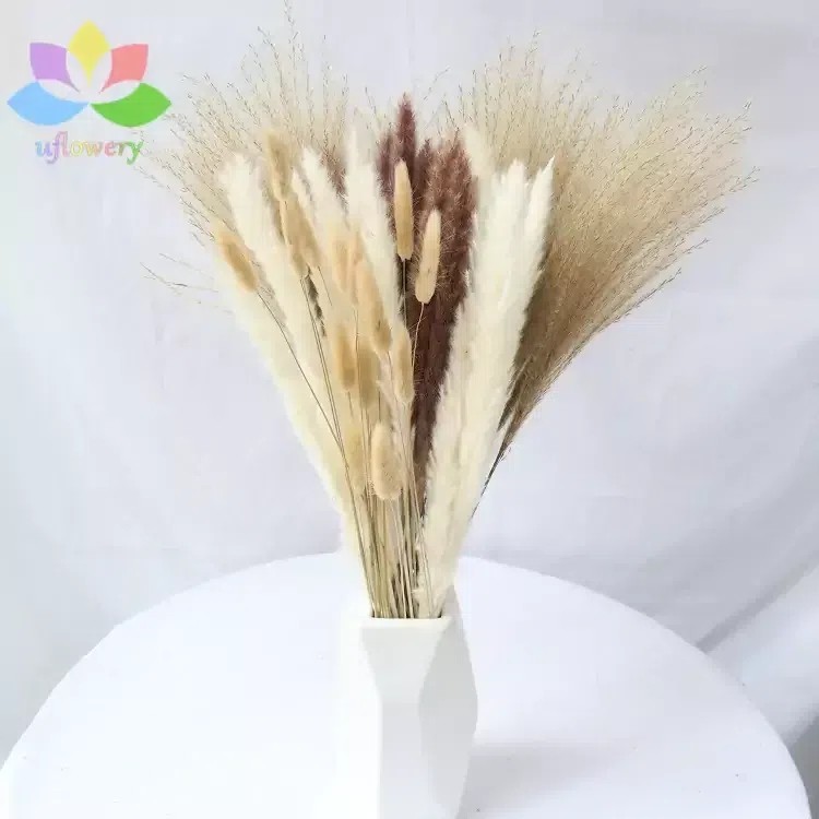 Dried Pampas Bouquet