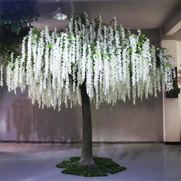 Large Wisteria Tree