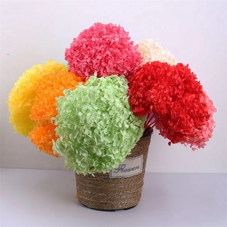 Real Preserved Hydrangea