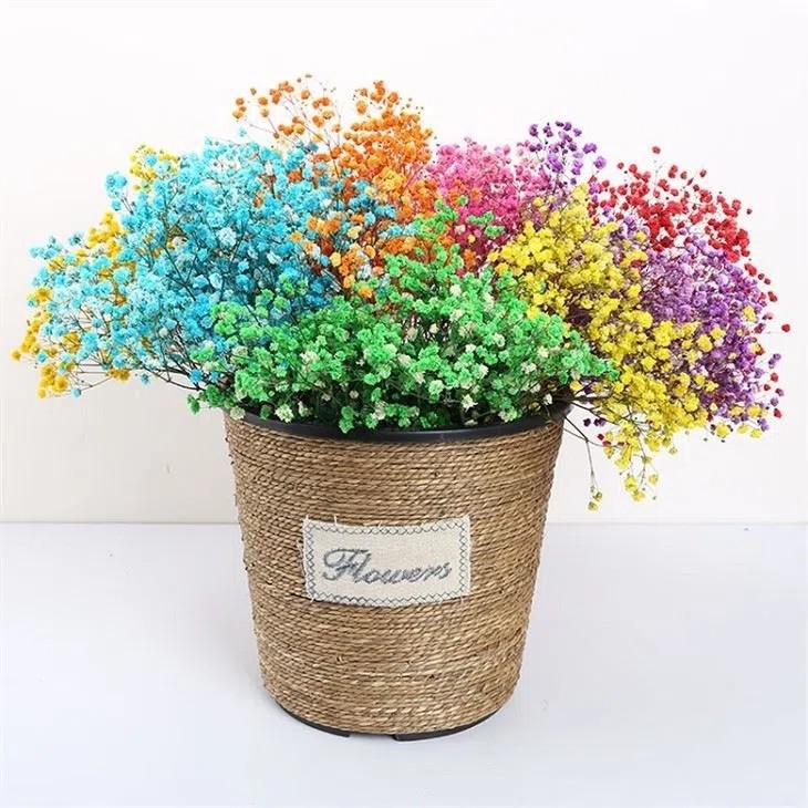 Natural Preserved Baby's Breath