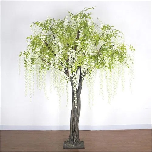 Large Wisteria Tree