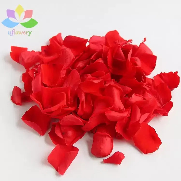 Preserved Rose Petal