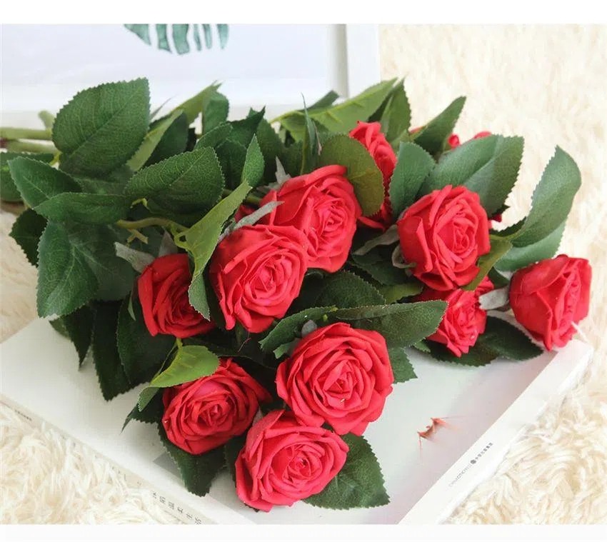 moban_05(001)