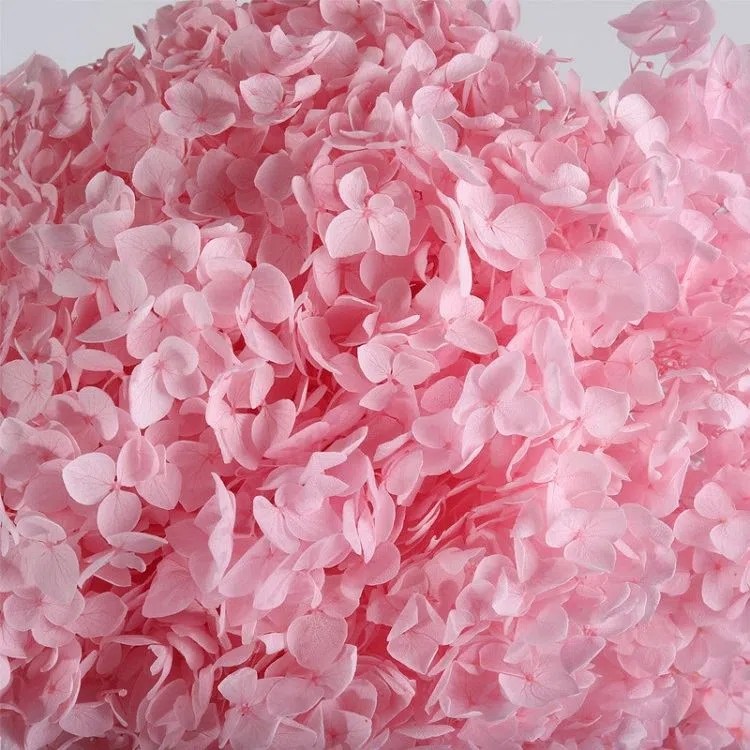 SKU-11-Preserved Hydrangea 11.webp.jpg