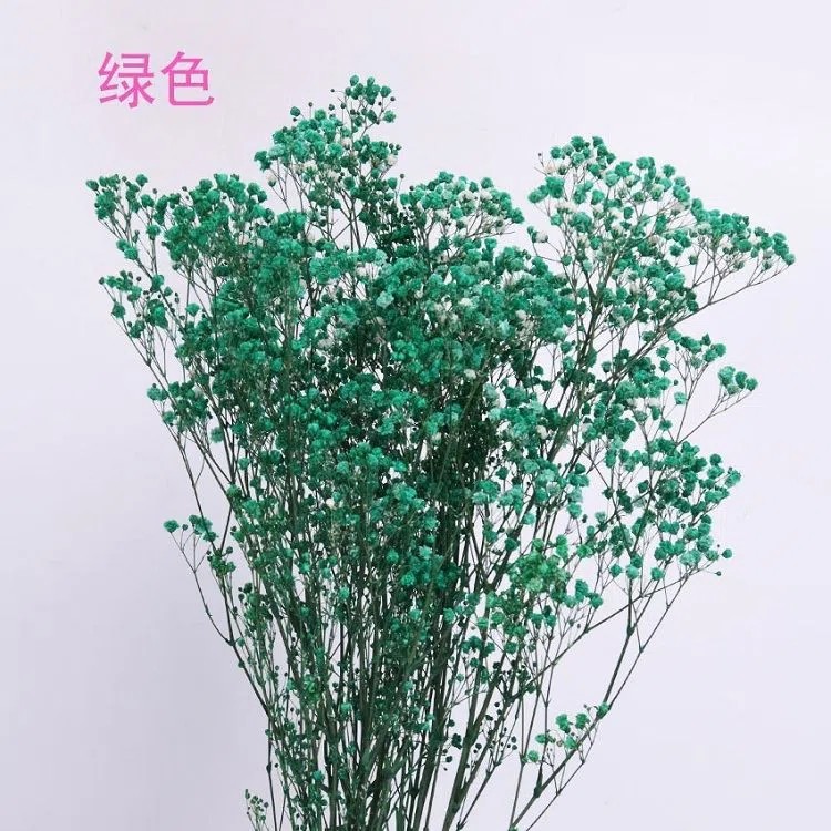 SKU-08-Baby_s Breath 08.webp.jpg