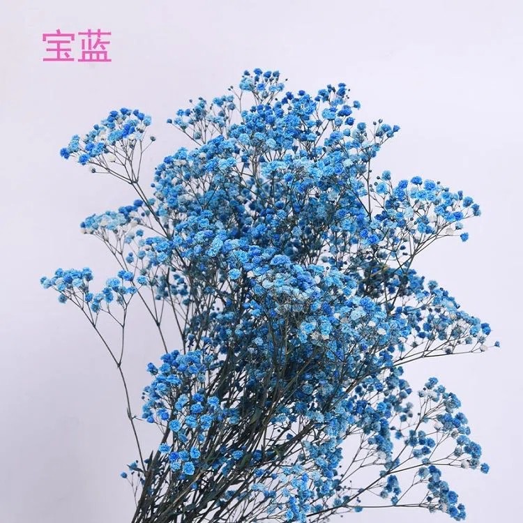 SKU-06-Baby_s Breath 06.webp.jpg