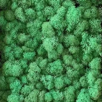 (2).webp.jpg