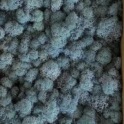  (11).webp.jpg