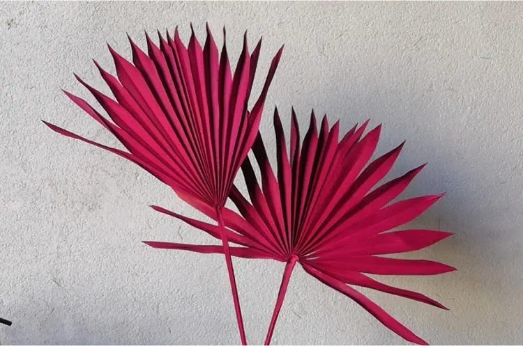 photobank (19).webp.jpg