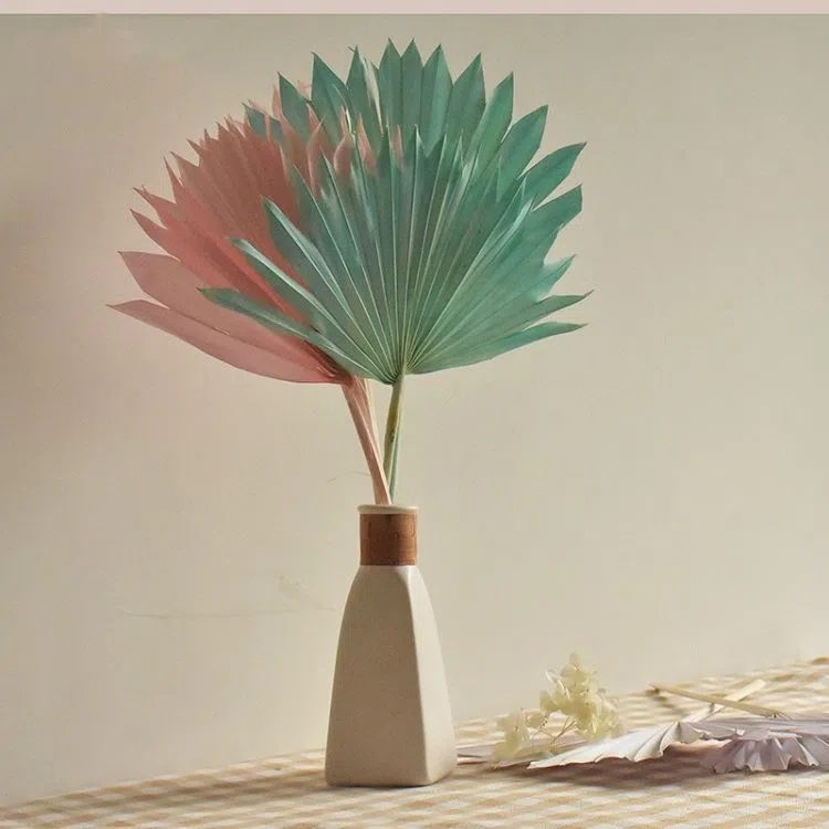 photobank (25).webp.jpg