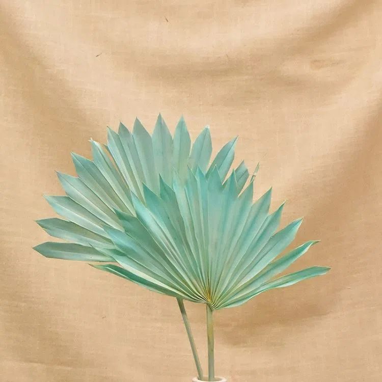photobank (23).webp.jpg