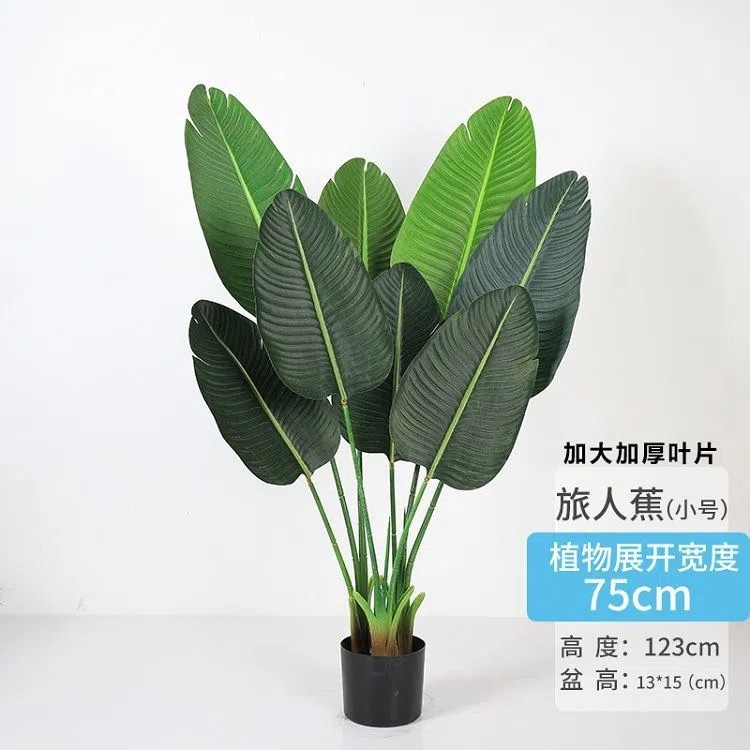 SKU-01-.webp.jpg