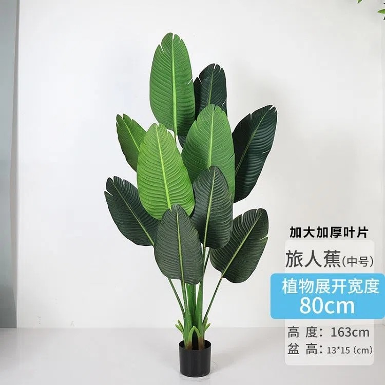 SKU-02-.webp.jpg