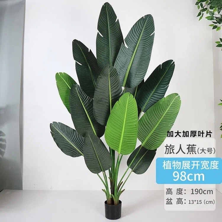 SKU-03-.webp.jpg