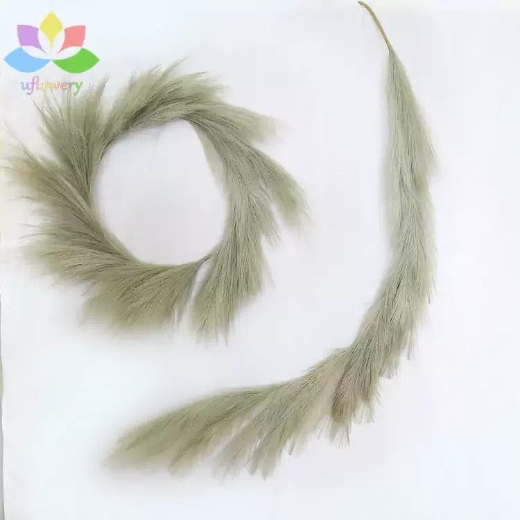 zxx