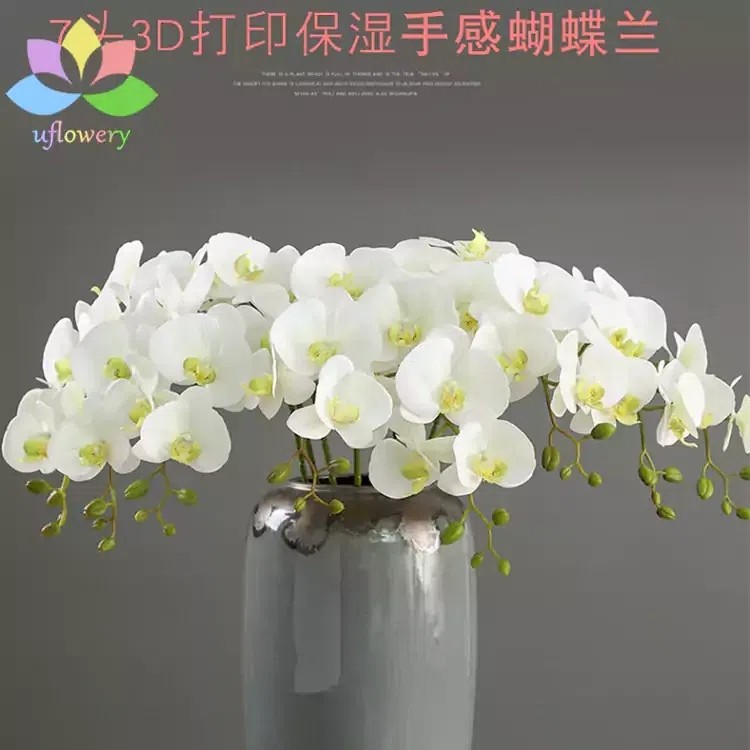 Amazon Artificial Orchids