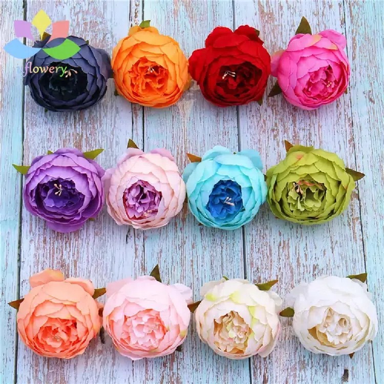 Peony flower heads