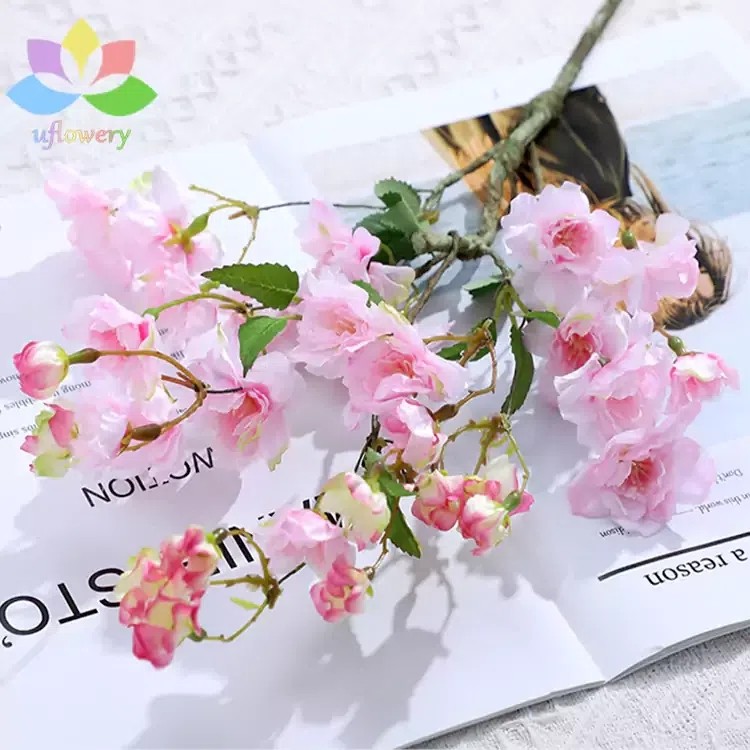 Cherry Blossom Branches For Sale