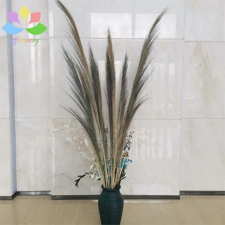 Colorful Pampas Grass