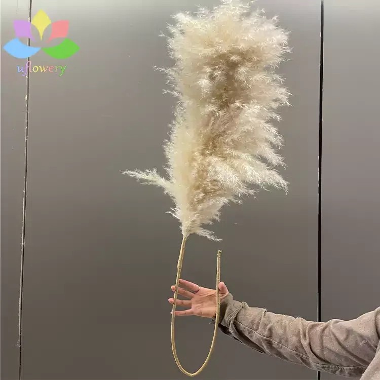 Pampas grass with handmade stem
