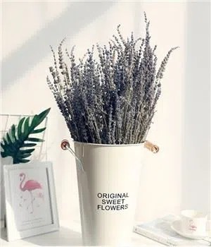 Natural Dried Lavender