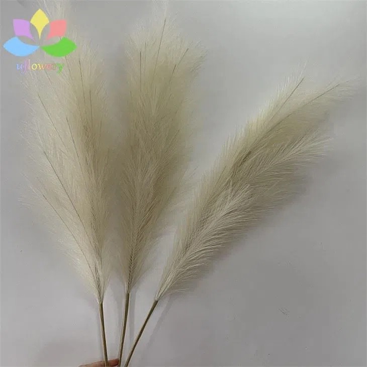 Fake Pampas Grass