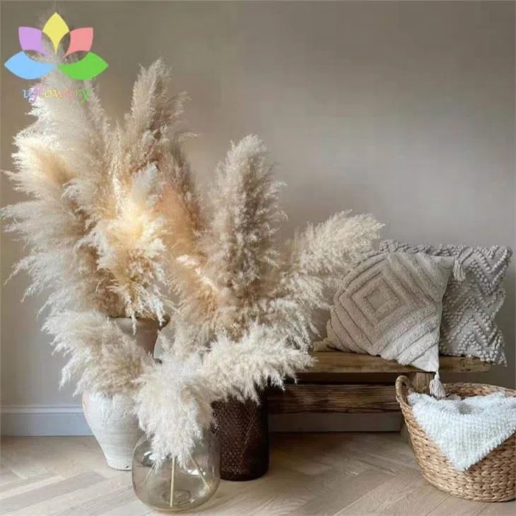 Dried Pampas Grass Decor