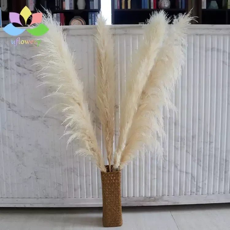 Pampas Grass Decor