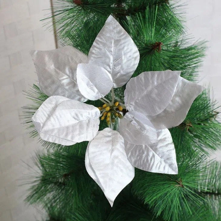 White Poinsettia