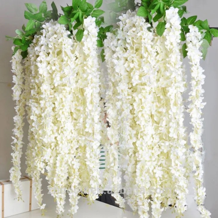 White Wisteria Vine