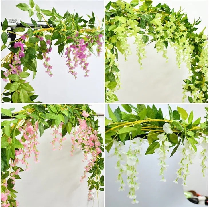 Wisteria Vine